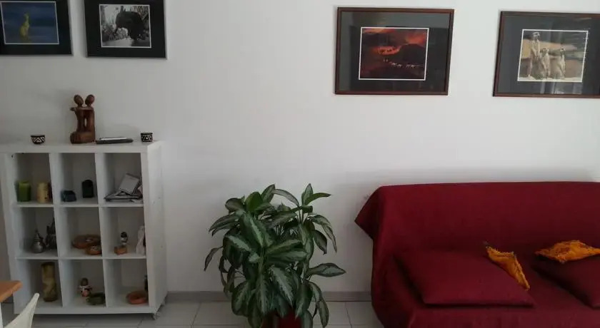 il trampolino