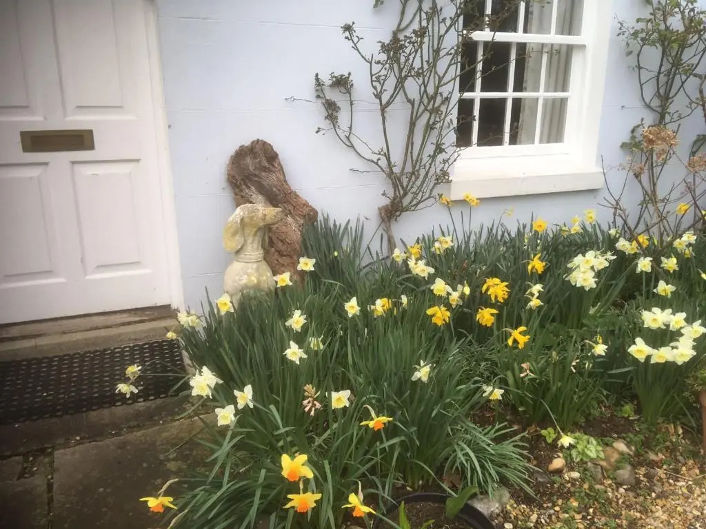 Georgian 2 bedroom Apartment, Near Chichester with free Parking