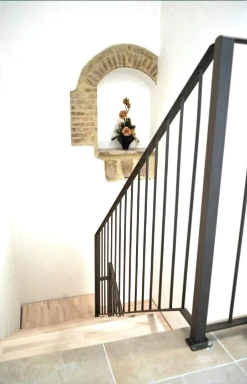 Sui Passi di Francesco