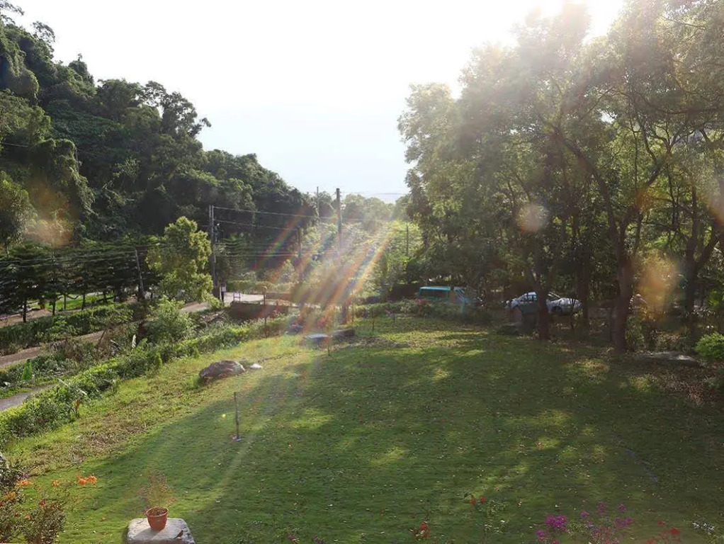 Dreamland Hostel