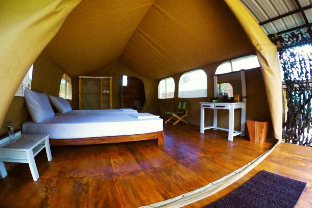 Wild Glamping Knuckles