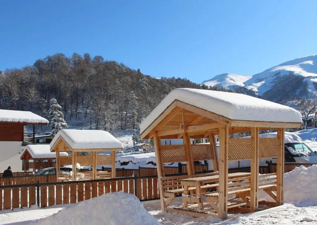 Mountain Villa Didveli