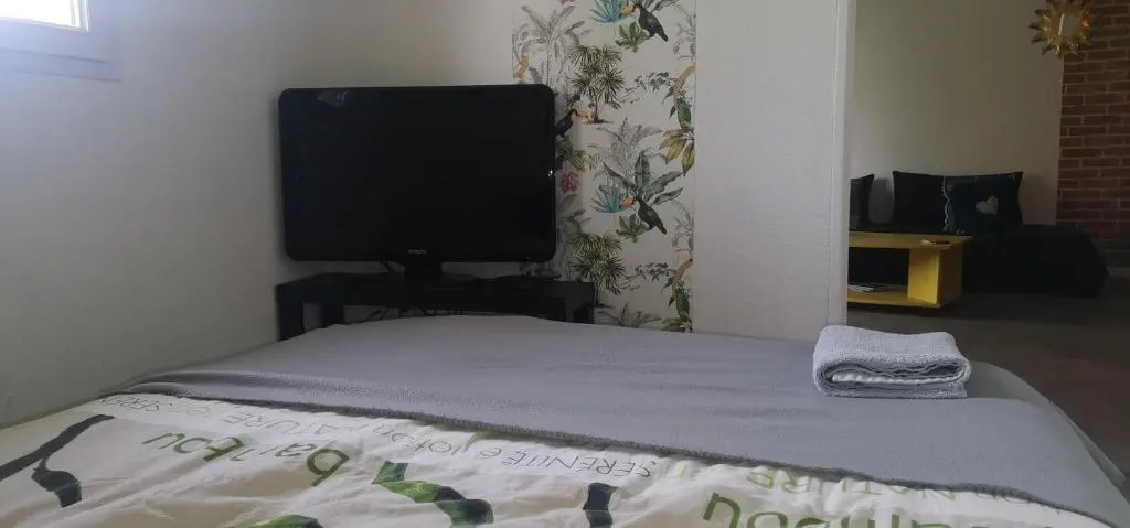TOULOUSE appartement avec chambre séparée/Métro/Piscine