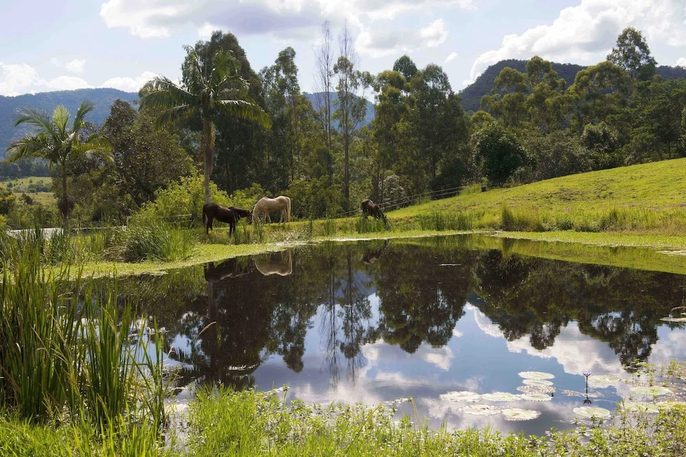 Nimbin waterfall retreat