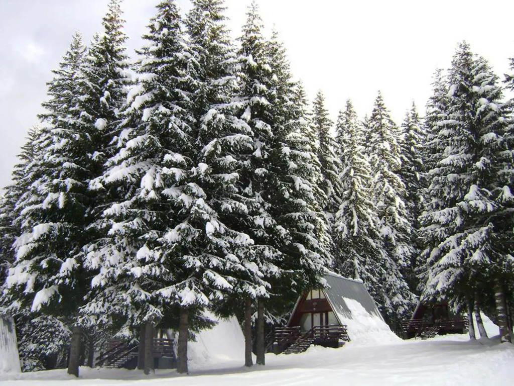 Complex Malina Pamporovo