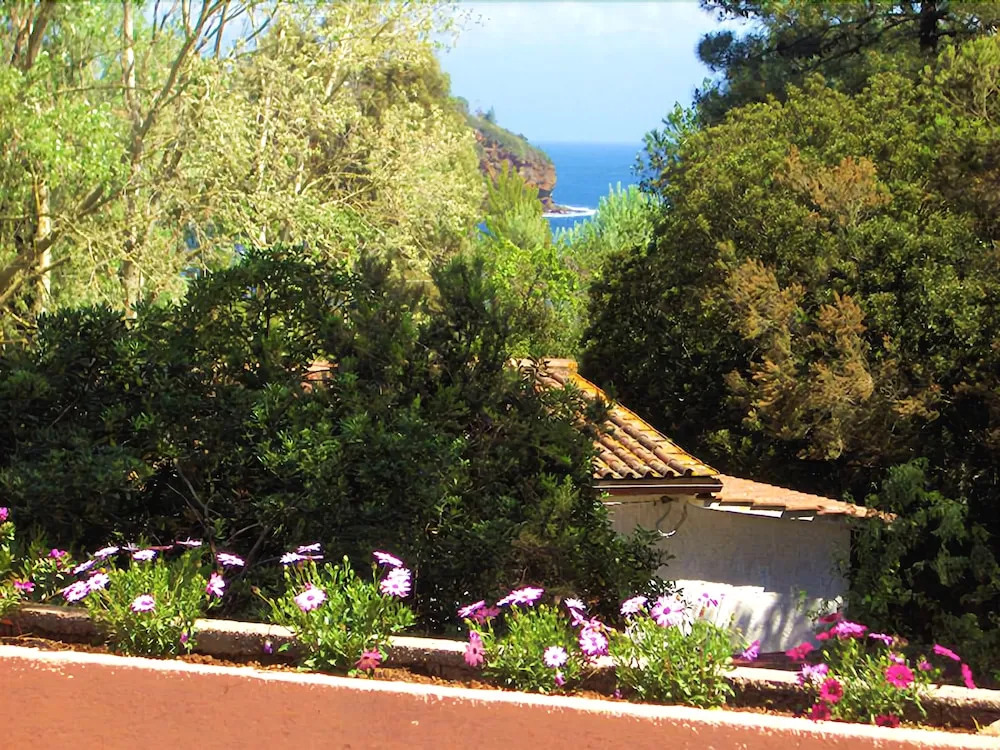 Appartamenti Elba Serena