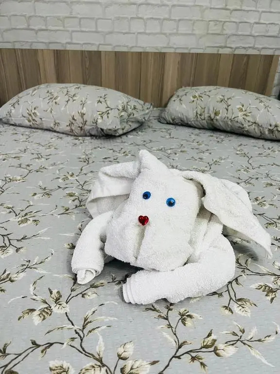 Ama 29
