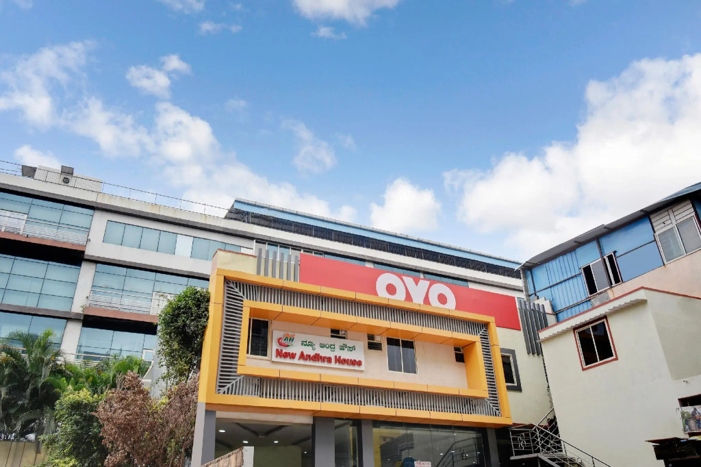 OYO Flagship 46682 New Andra House