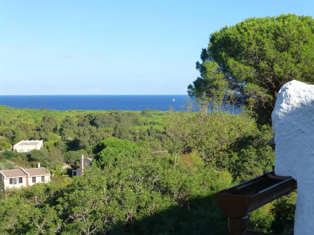 Graziosa casa immersa nel verde