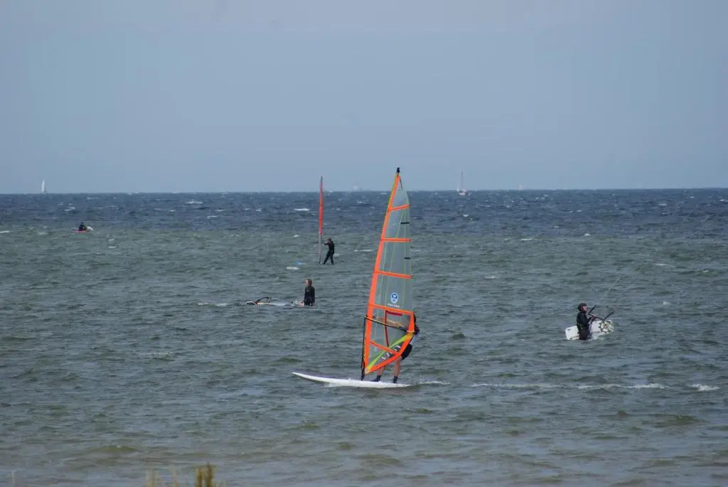 Möwe am Ostseestrand - ABC58