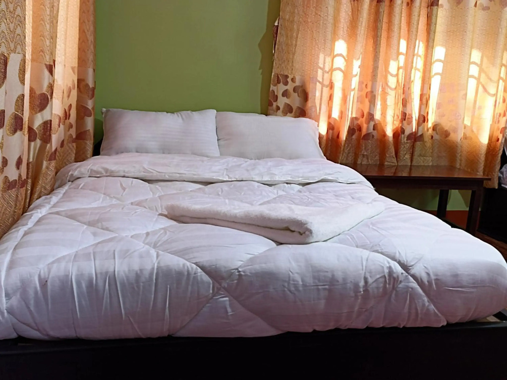 Dubochaur Rest house & homestay