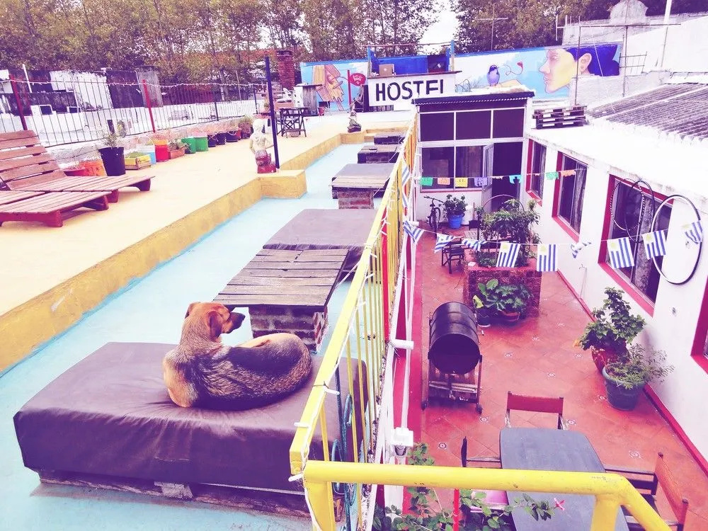 Celestino Hostel