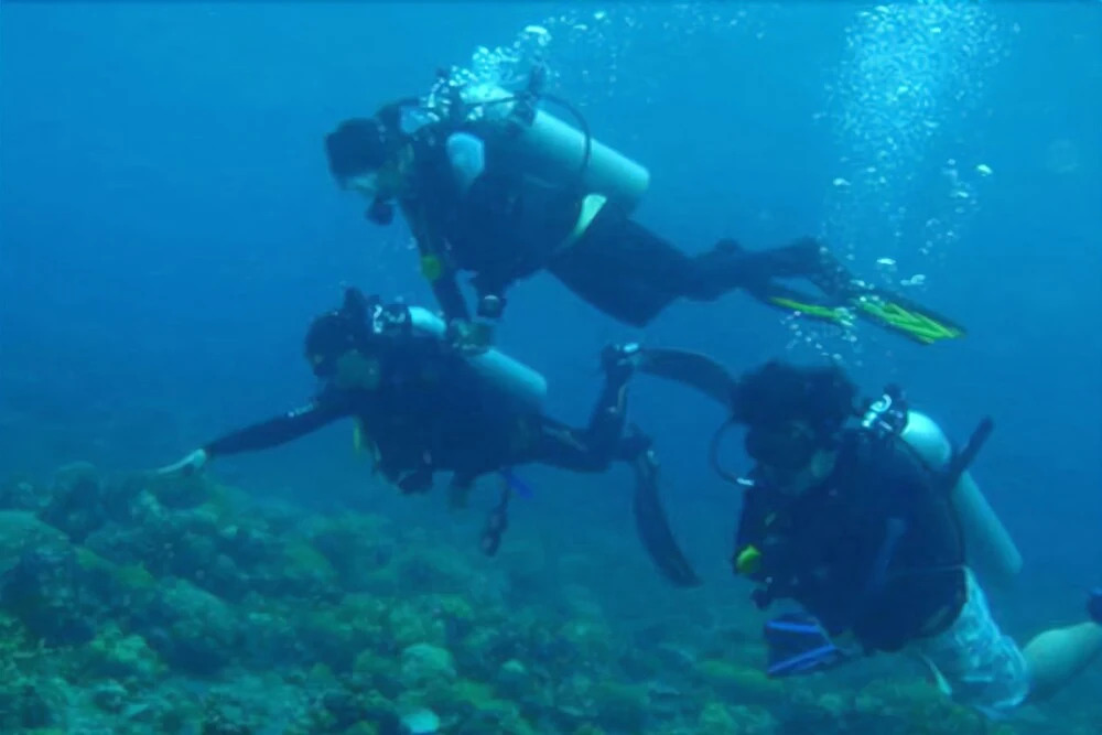 New Heaven Dive n Pension