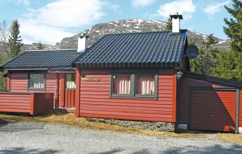 Petterbua