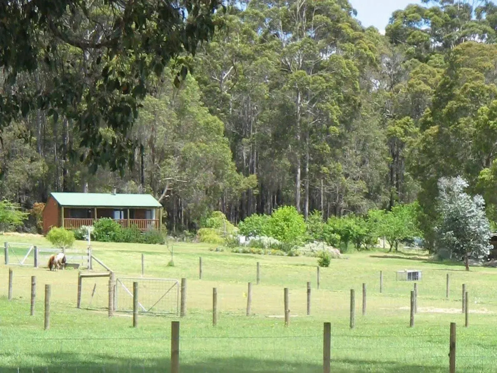 Diamond Forest Cottages