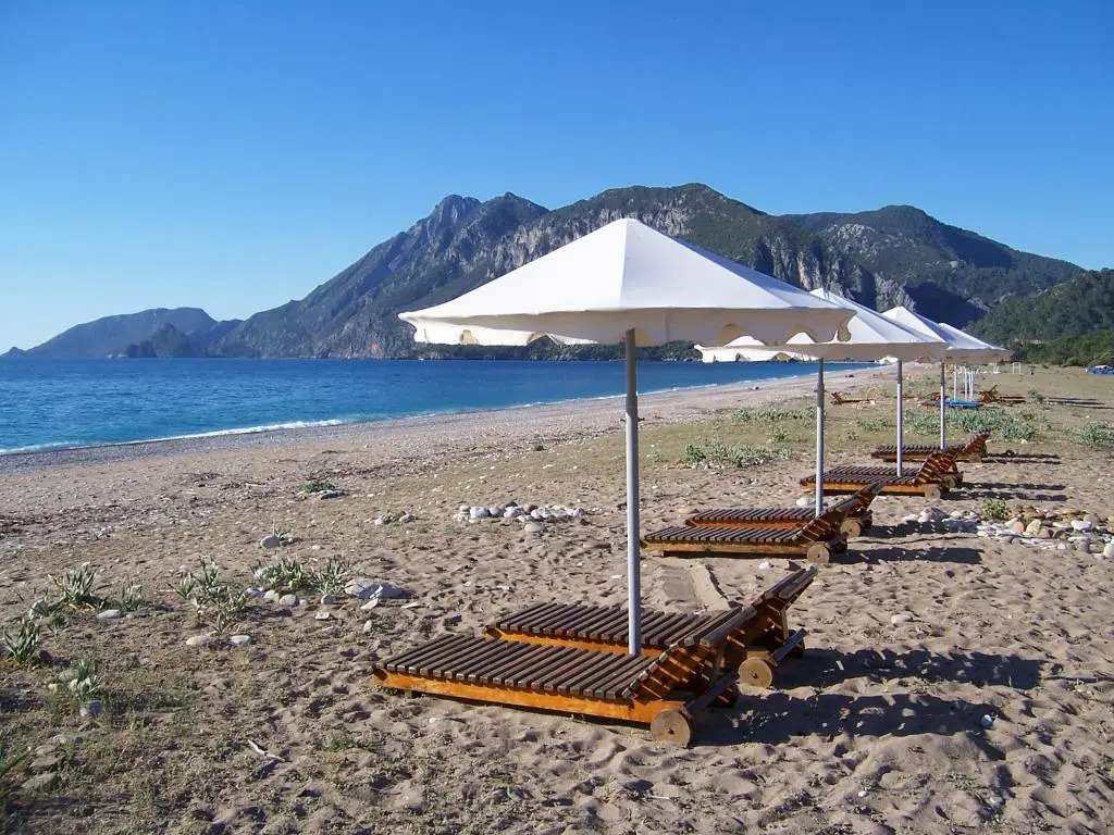 Arcadia Beach