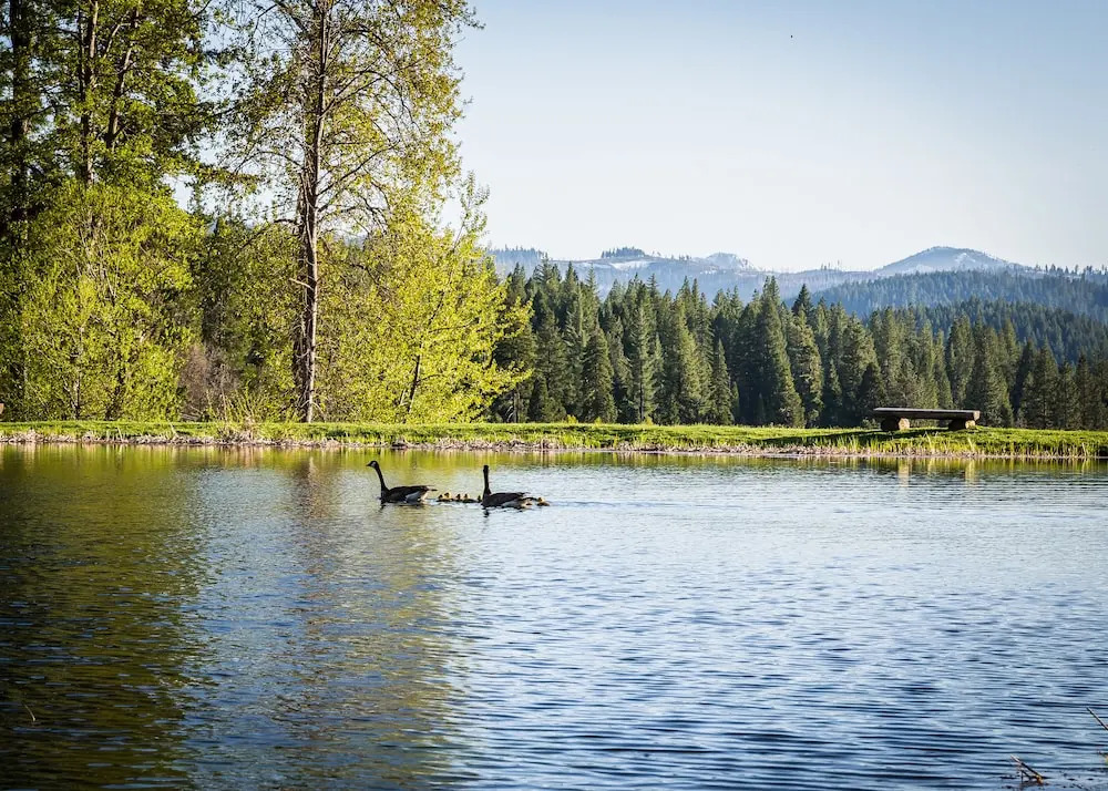 Greenhorn Ranch
