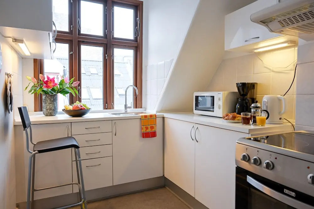 Cozy One-bedroom Apartment in Copenhagen Downtown