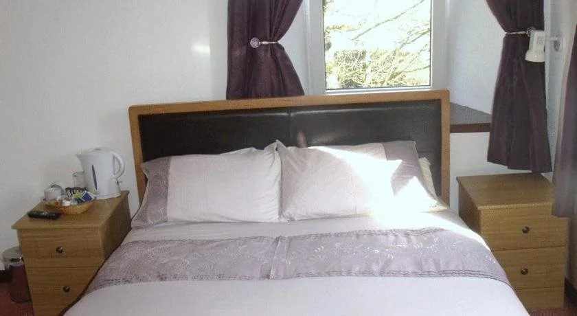 The Brown Trout Hotel