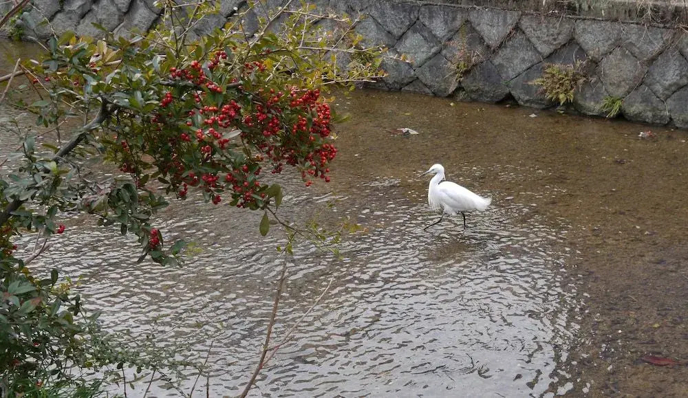 Canal House Takasegawa