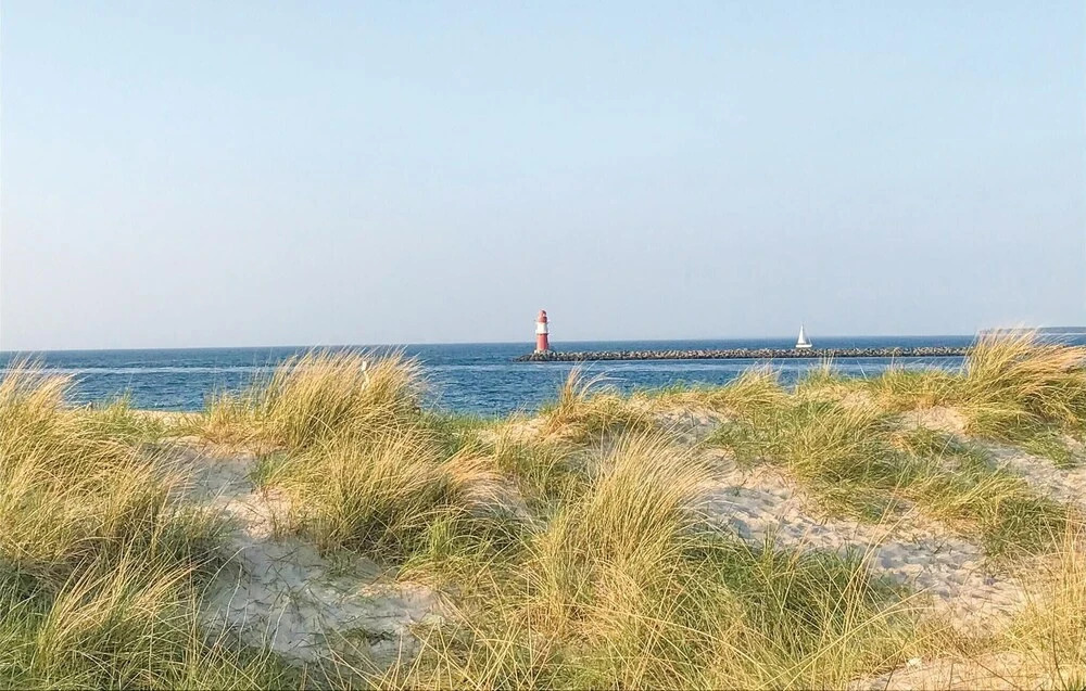 Sanddorn
