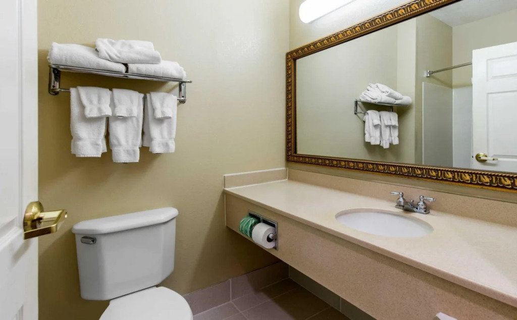 Comfort Suites Auburn near I-69