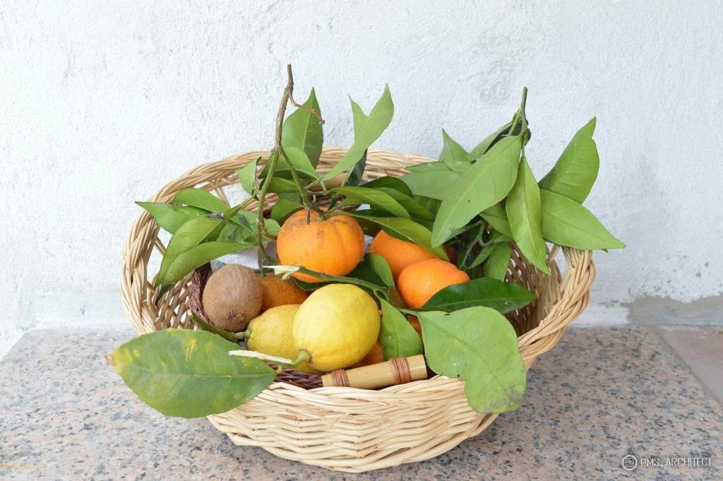 Casa Jumasca