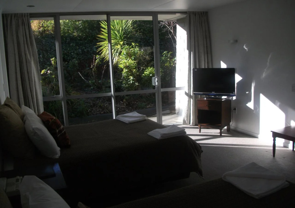 Pacific Park Dunedin