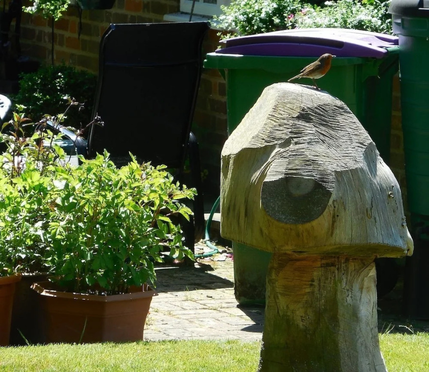 Courthope Farm Holiday Cottages