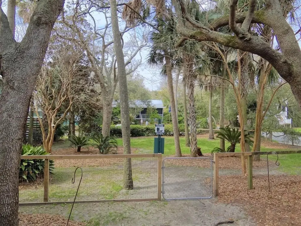 The Tree House