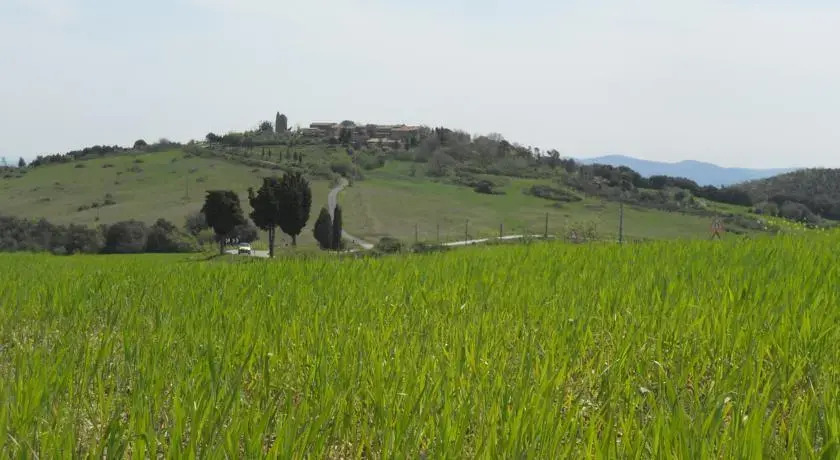 CASAMELIA