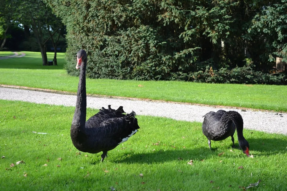 B&B en SPA Landgoed Matanze