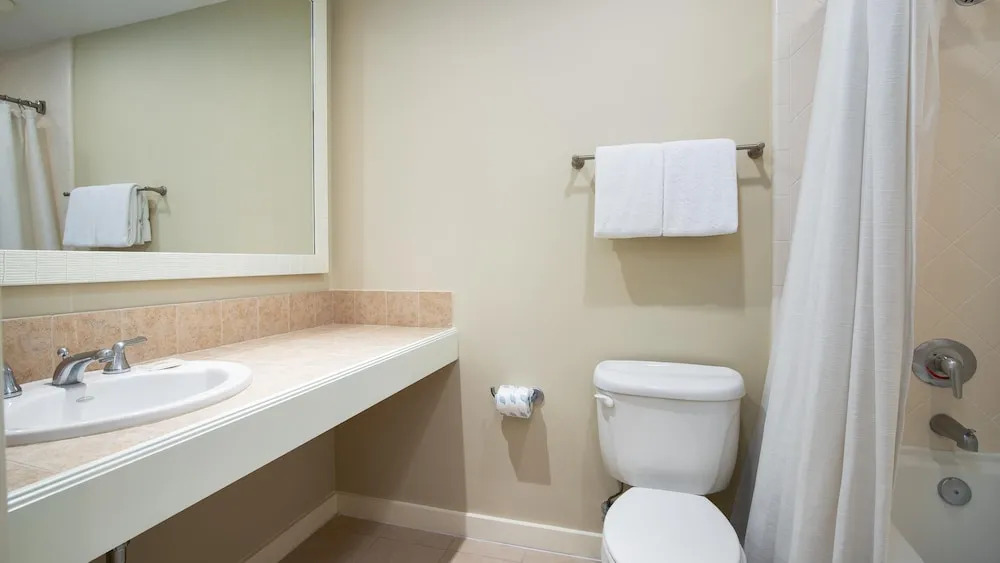 Luau I 6501 - flr5 - Studio 1BA - (2)