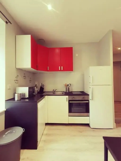 Vienne: appartement au cœur du centre historique