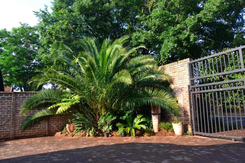 Thatch Haven Guesthouse