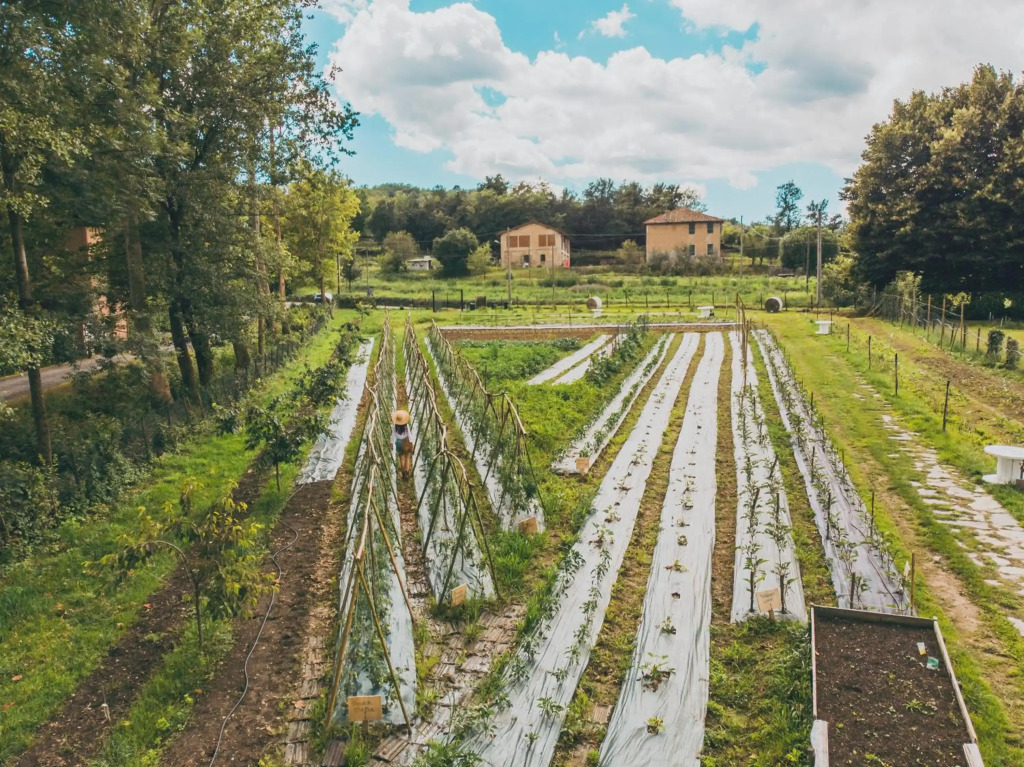 La Casa del Mulino