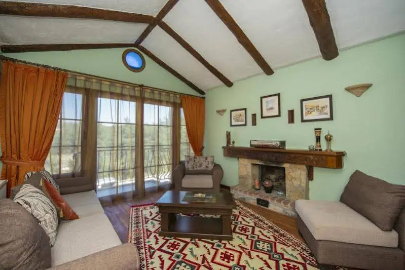 Olive Tree Studio