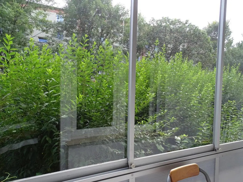 Apartament Na Blonie