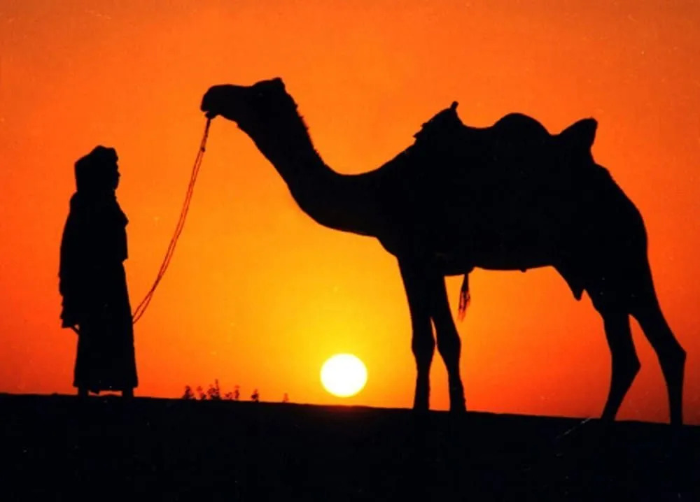 Bhawana Camp and Resorts