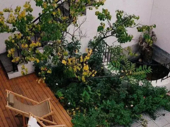 Tingfeng Courtyard Homestay