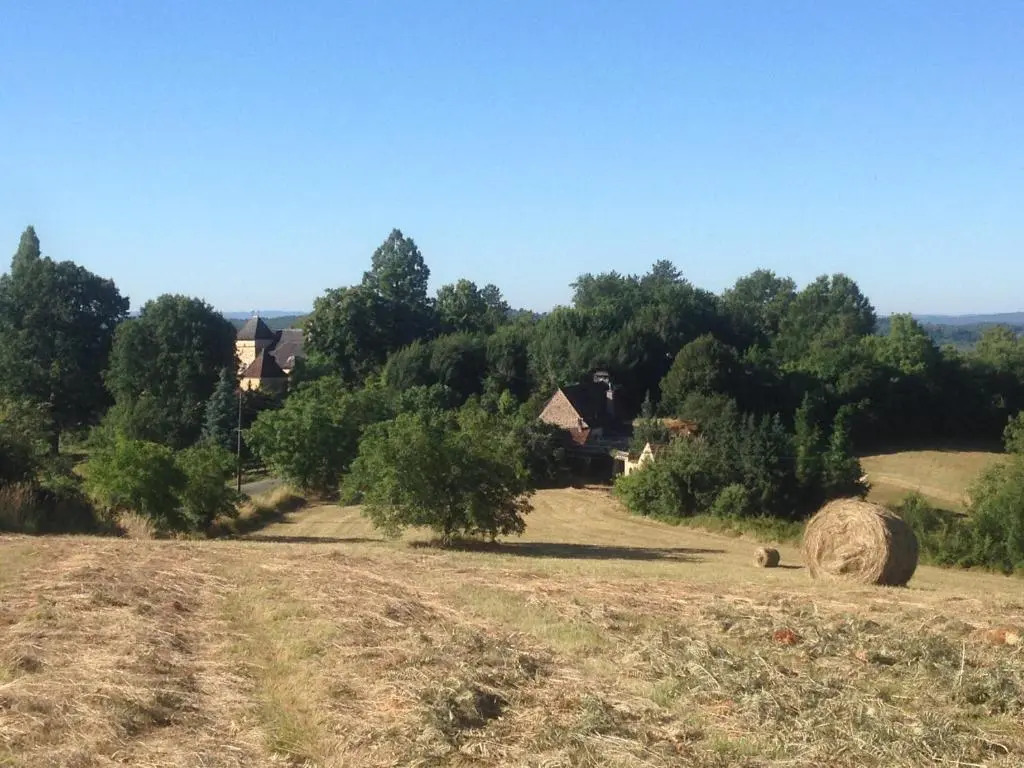 Les Bernardies