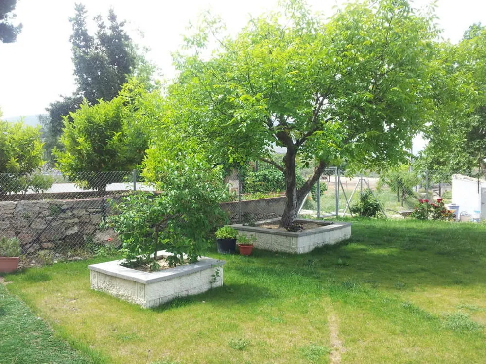 Finca Rural les Fanecaes