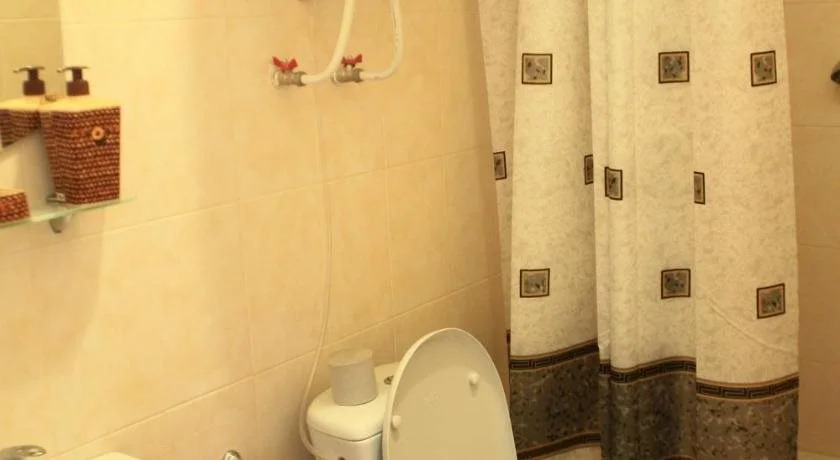 Mini Hotel Pale