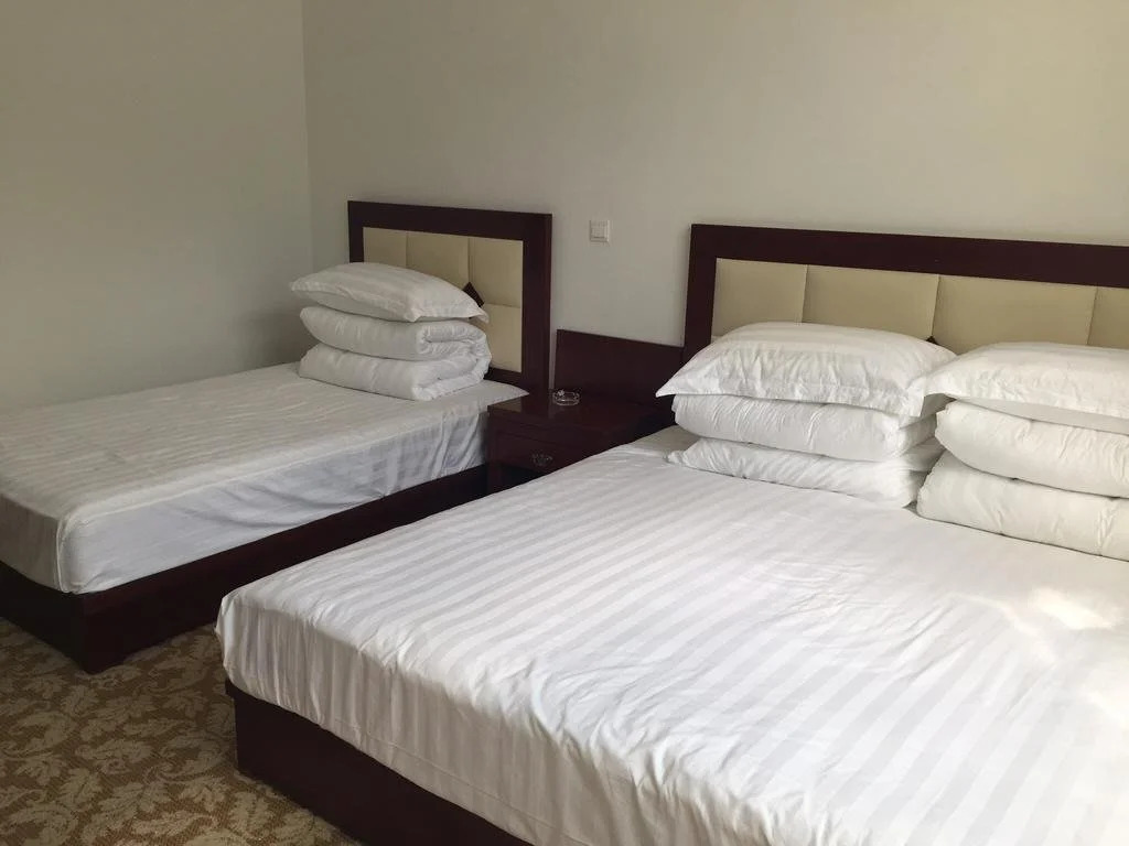 Mount Wutai Jingxin Hotel