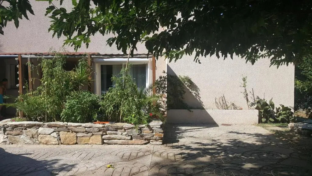 Chiapatella