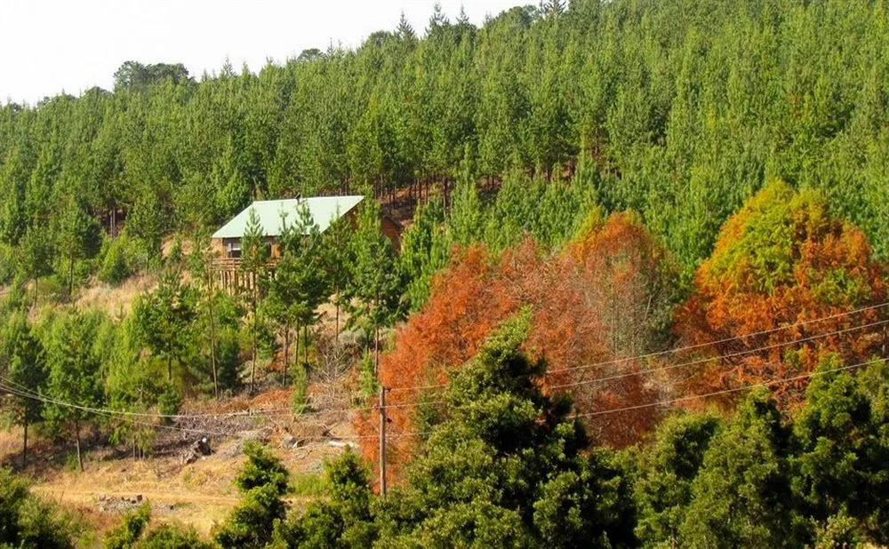Stanford Lake lodge
