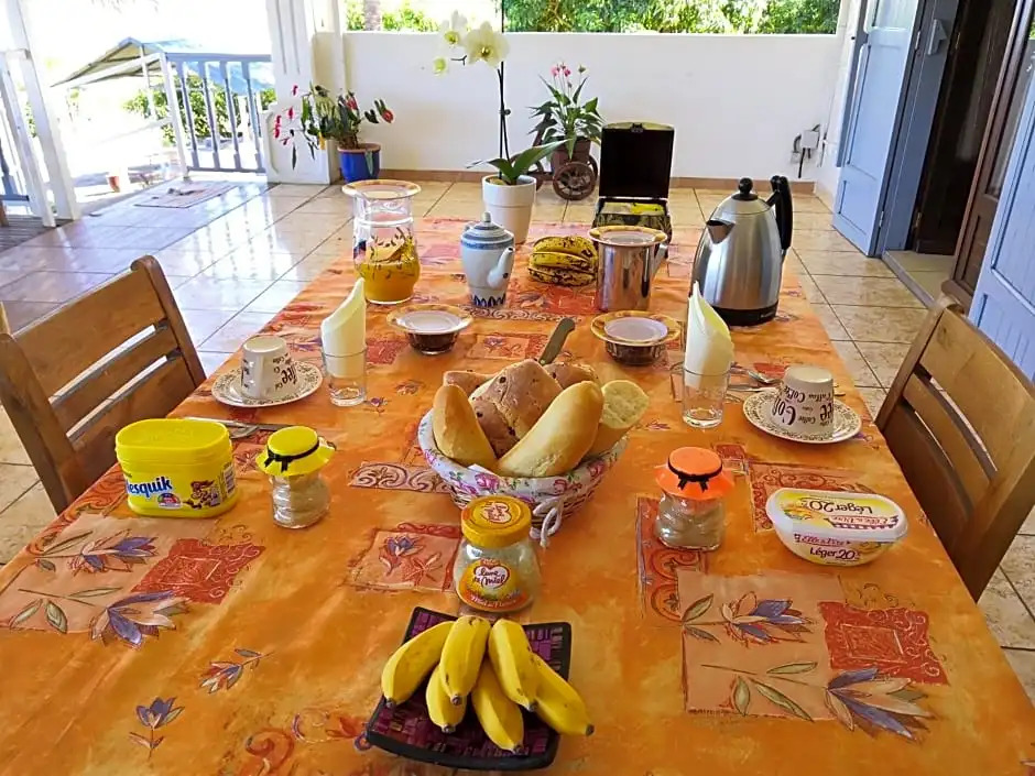 Zoiseaux Paradis