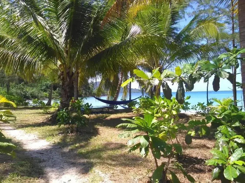 Lonely Beach