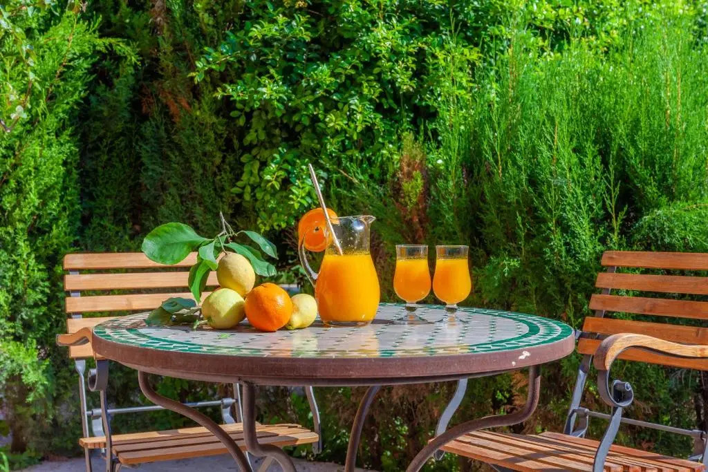 Finca Cas Curial