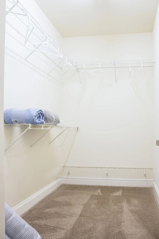 Plaza Midwood 1 and 2 BR Apts with Parking by Frontdesk